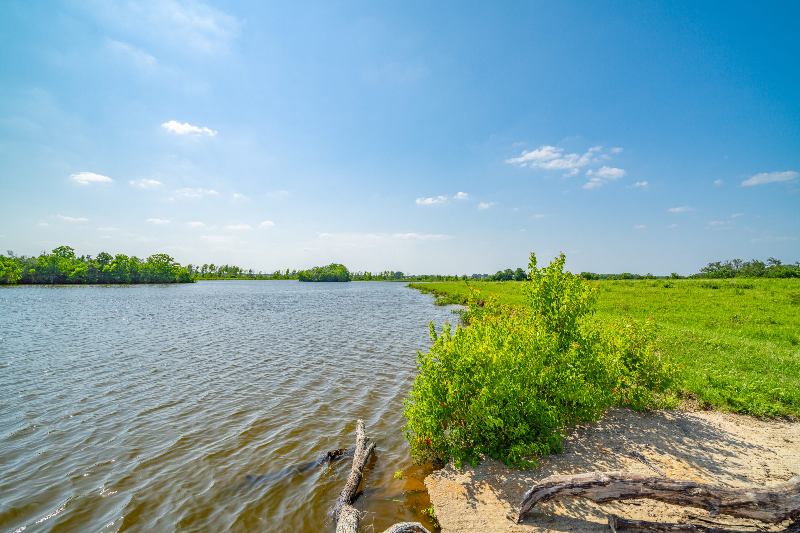Artificial turf services in Waller, TX
