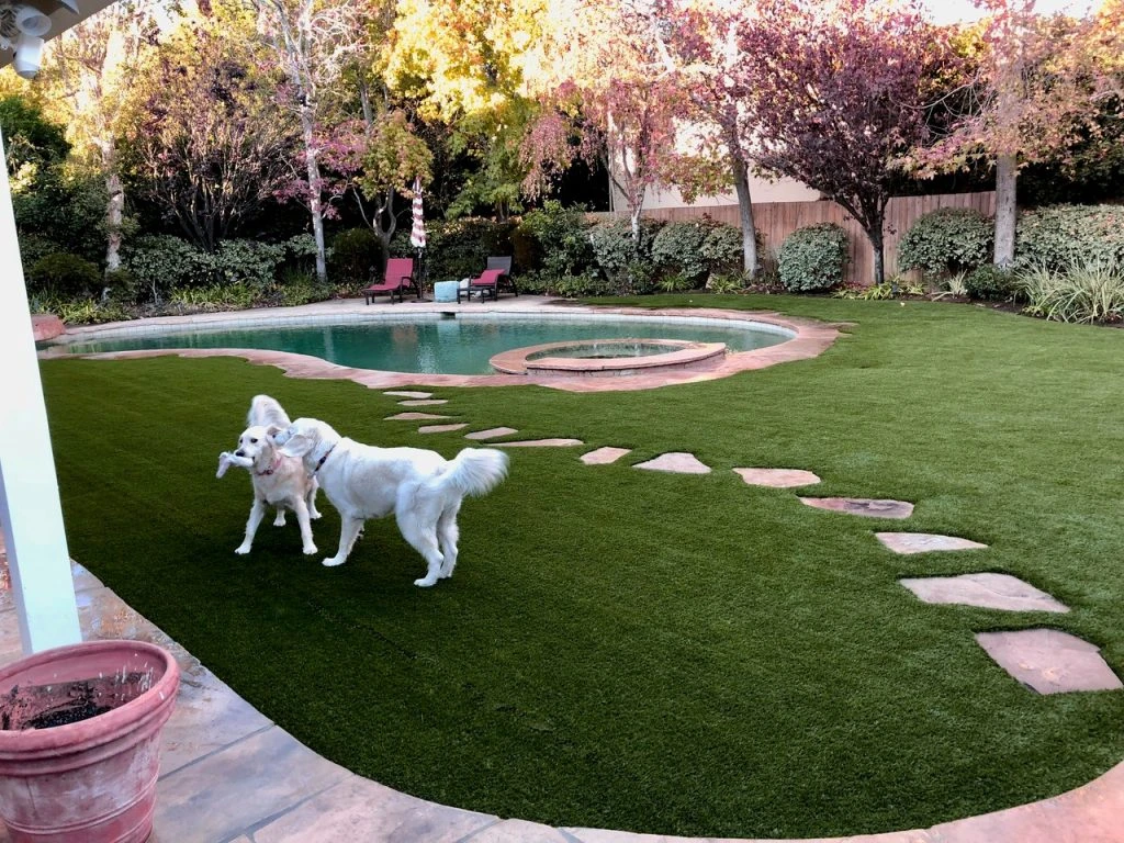 Pet Friendly Artificial Turf Installation